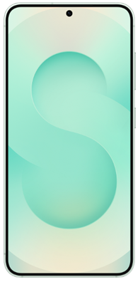 Smartphone Samsung Galaxy S25 5G Mint (PSMS931BLGCTHL)